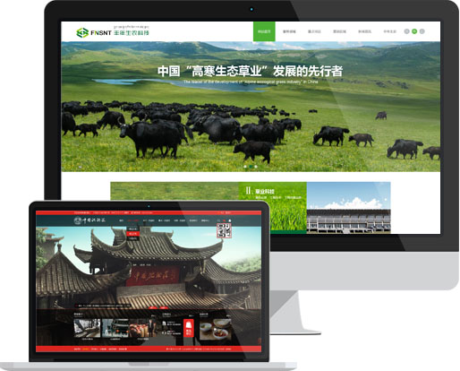 品牌網(wǎng)站建設